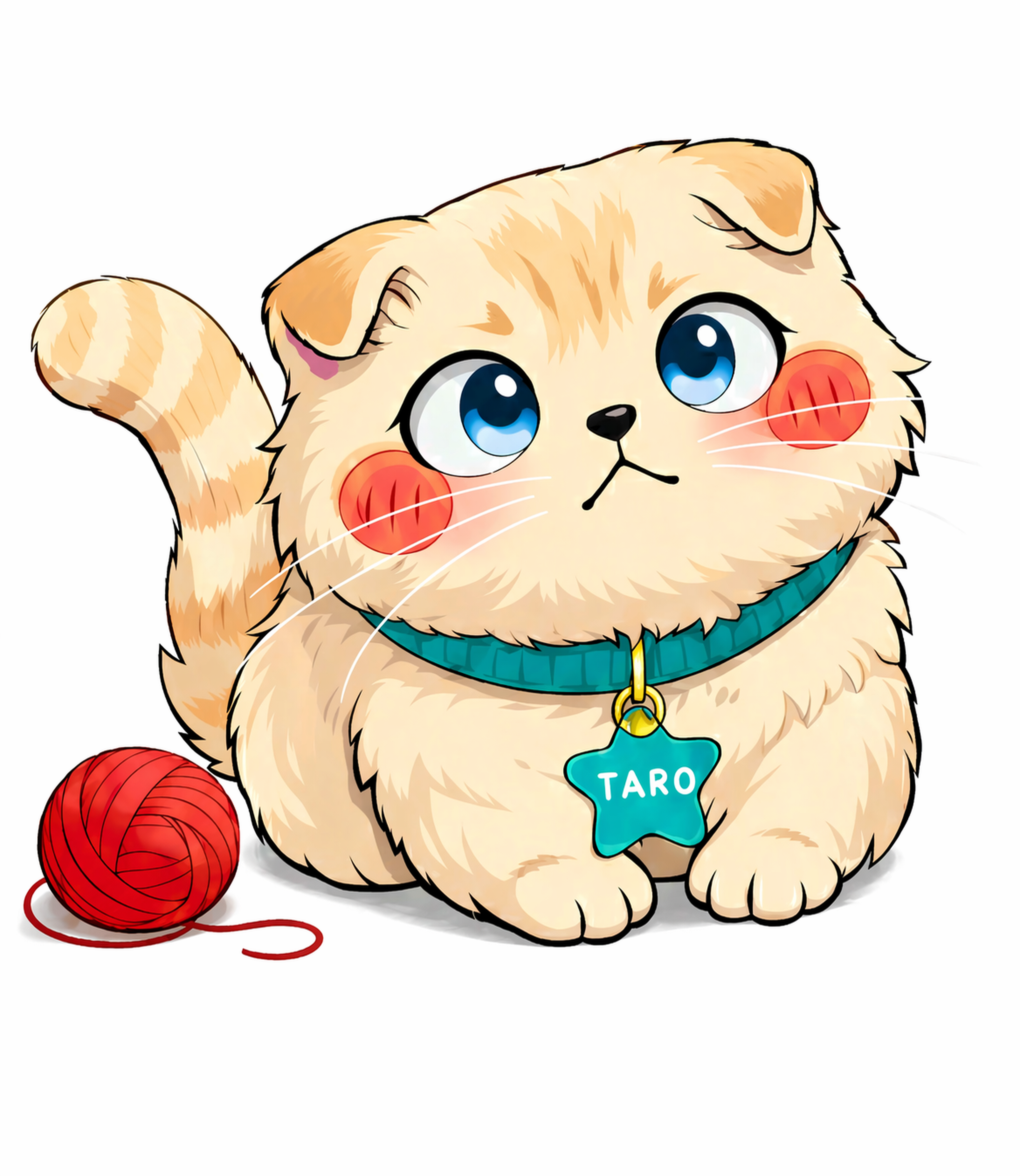 Cute cat named Taro